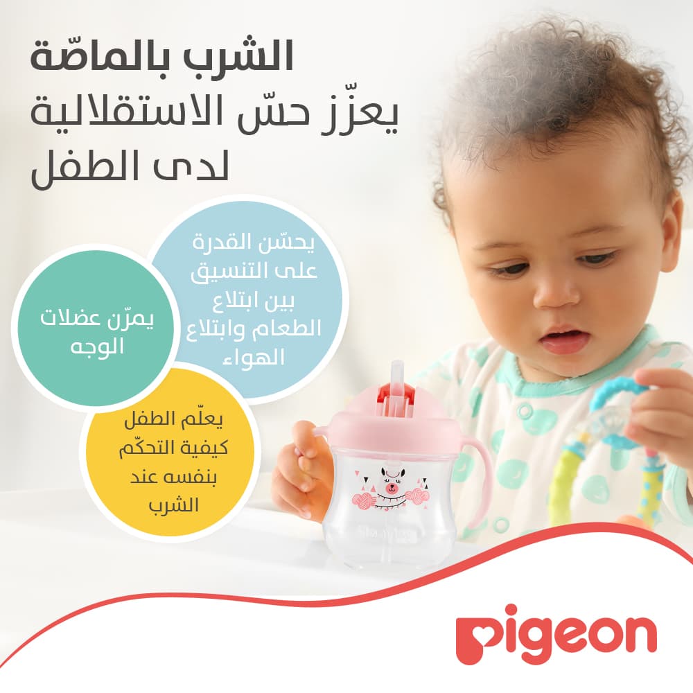 Product Feature 3