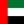 UAE flag